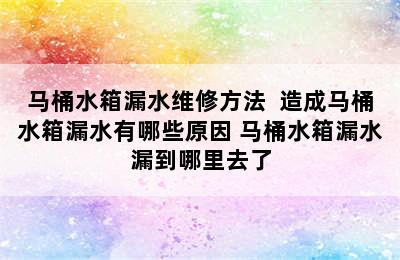 马桶水箱漏水维修方法  造成马桶水箱漏水有哪些原因 马桶水箱漏水漏到哪里去了